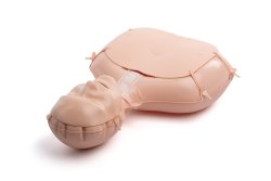Mini Anne Plus